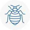 Bed Bug Extermination In Worth