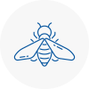 Bee Nest Removal Worth