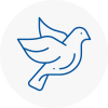 Bird Prevention Worth