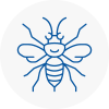 Worth Hornet Nest Removals