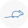 Mice Exterminators In Worth