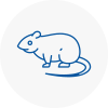 Rat Control Worth