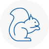 Worth Rodent Removals