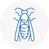 Worth Wasp Nest Removal